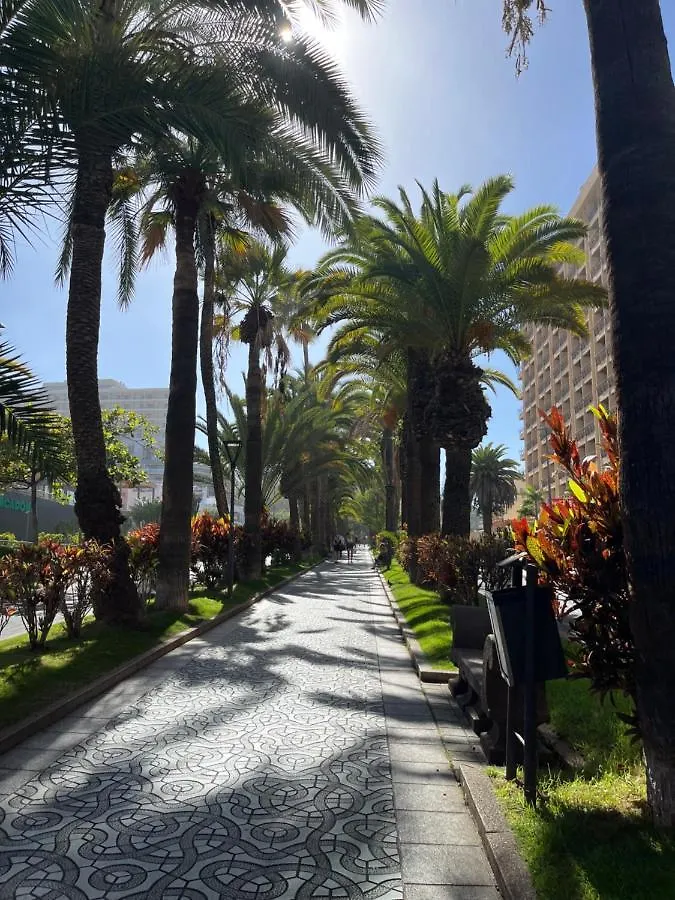 Estudio-Szl Puerto de la Cruz  Puerto de la Cruz (Tenerife)