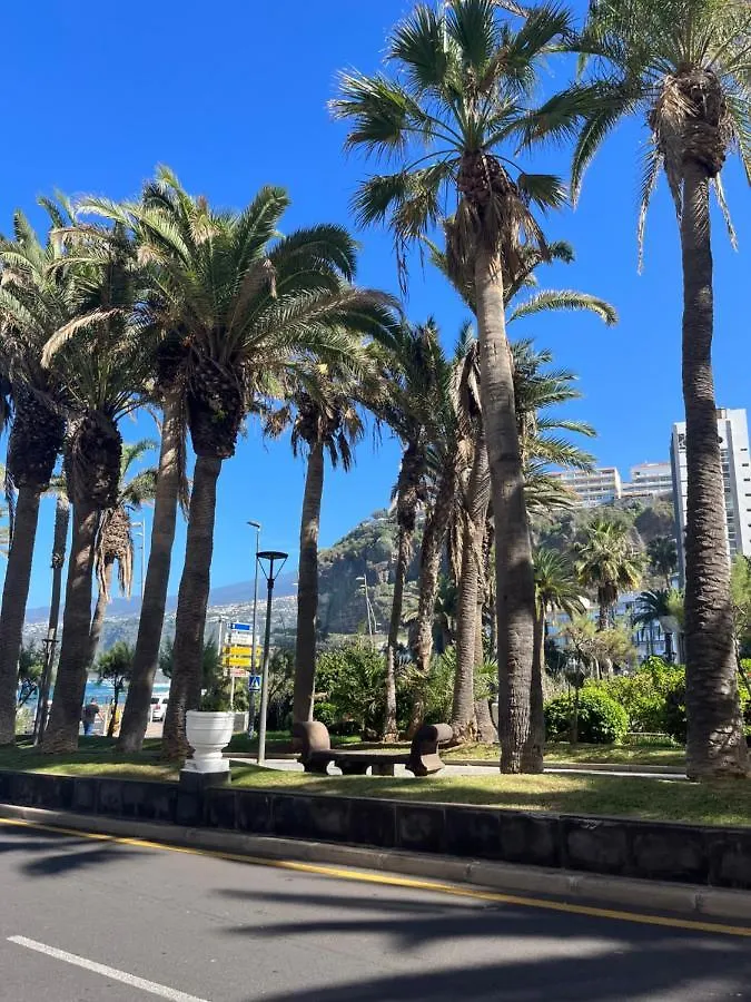 Estudio-Szl Puerto de la Cruz  Appartamento